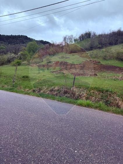 Teren Construcții de 4780 mp, în Vadu Izei