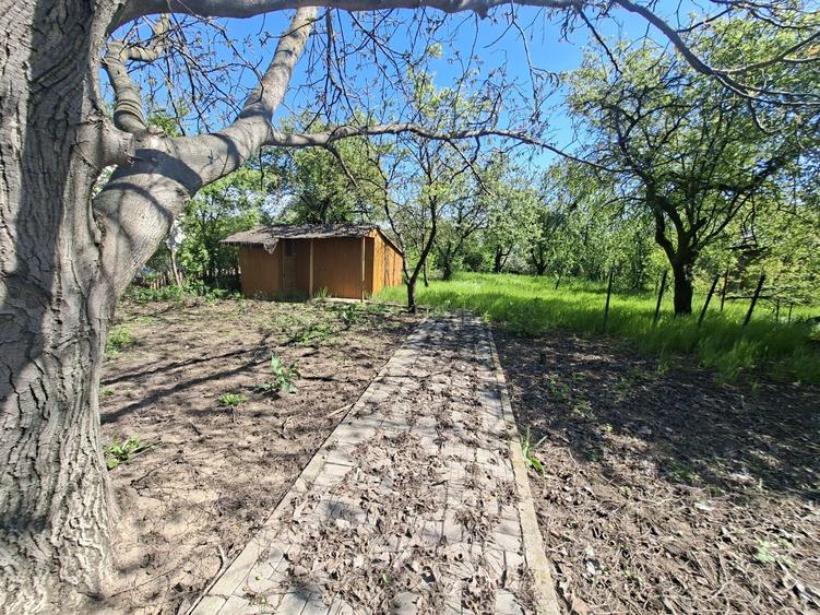 Casă cu 2 camere în Cernica