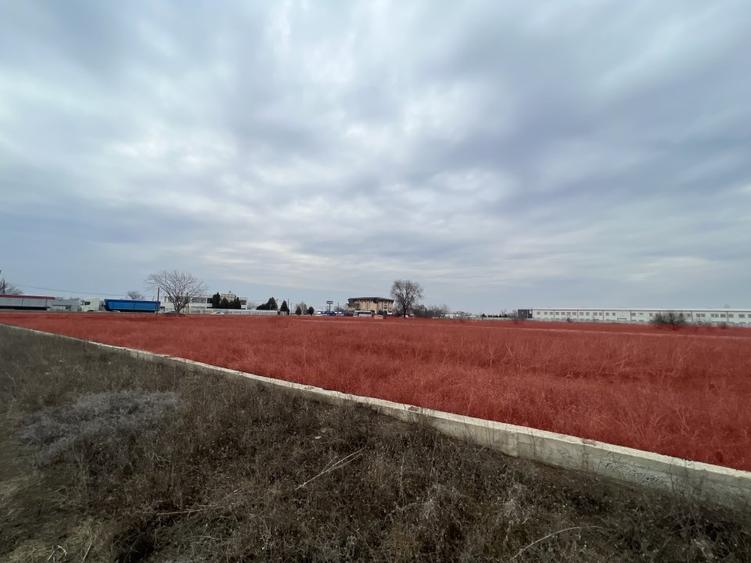 Teren Construcții intravilan de 41000 mp, în Vânători
