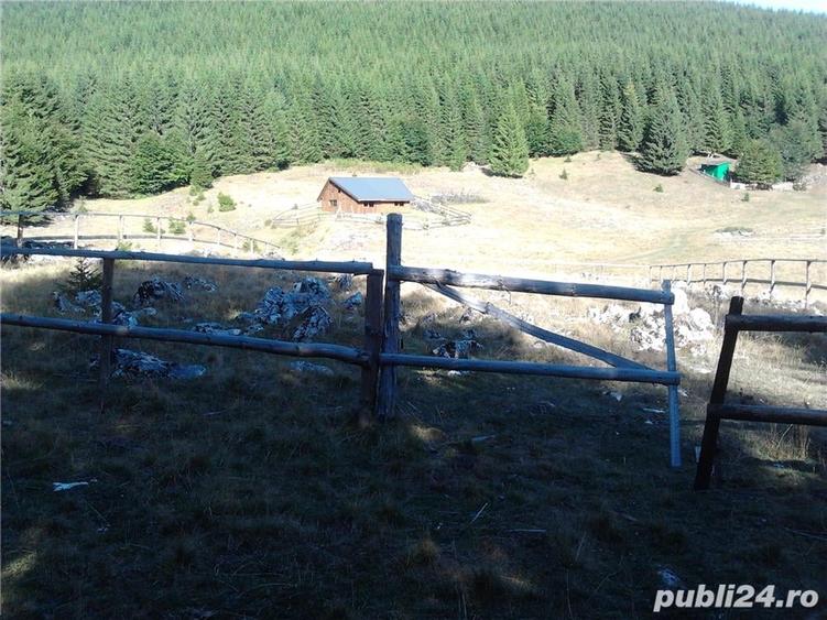 Teren de 1000 mp, în Curtea de Argeș