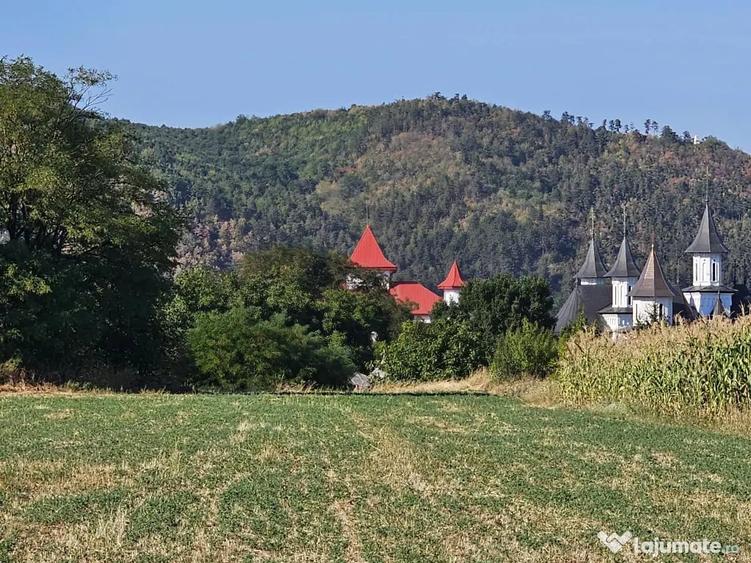 Teren de 4300 mp, în Humulești