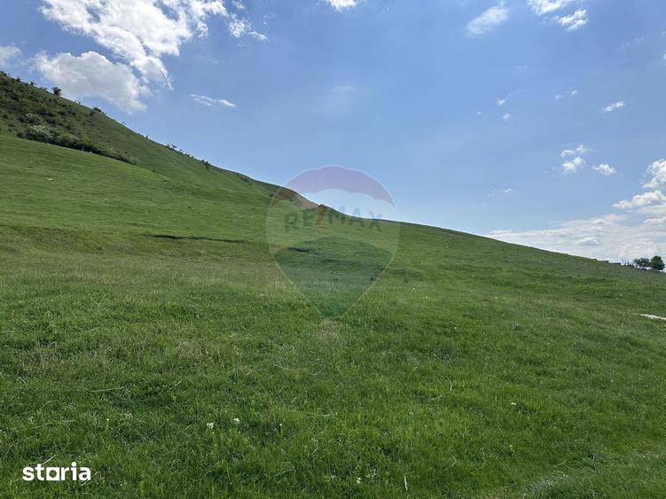 Teren de 1000 mp, în Gârcina