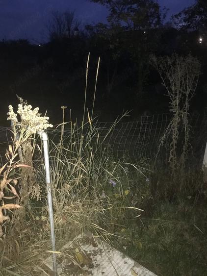 Casă cu 3 camere cu Teren 2000 Mp în Soporu de Câmpie