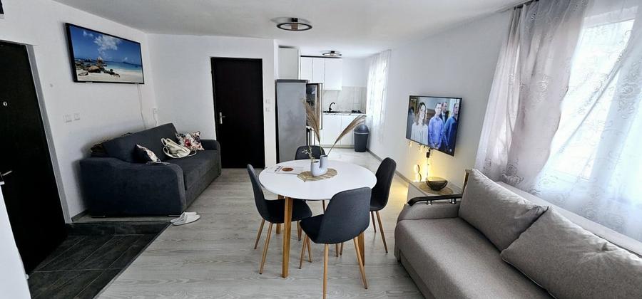 Penthouse de inchiriat-Marasti(Cinema Marasti) - 2