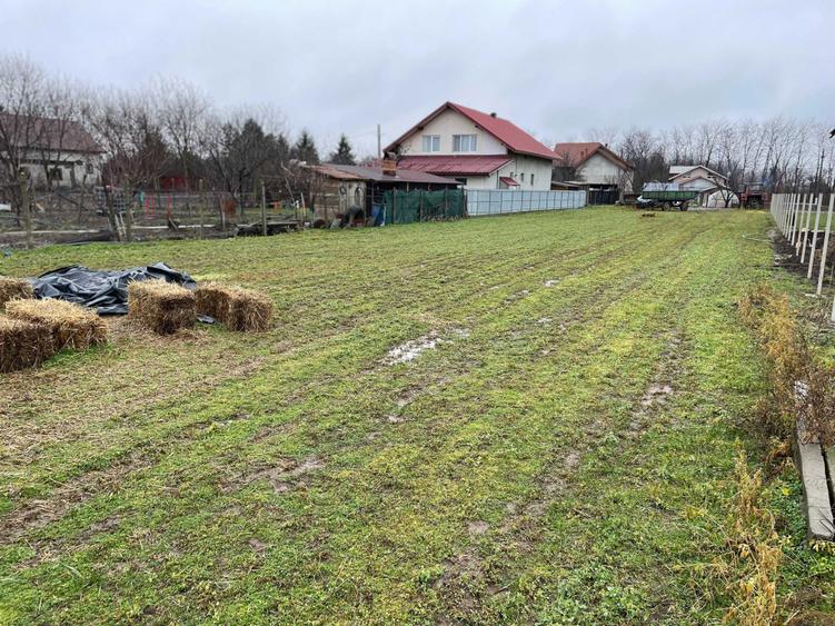 TEREN INTRAVILAN -Dridu- Judetul Ialomita - 1