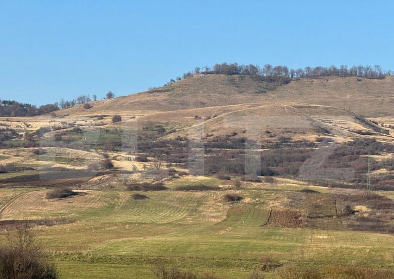 5 terenuri extravilane agricole cu suprafata totala de 13.37 - 2