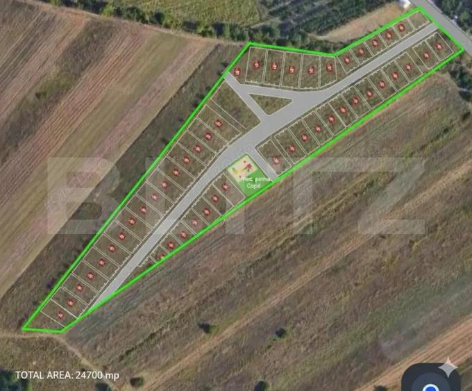 Teren 24.712 mp, parcelabil, Viforata - 3