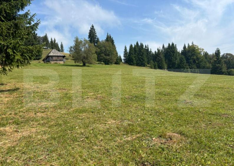 Vanzare teren intravilan de 2 hectare, in Pasul Tihu?a - 13