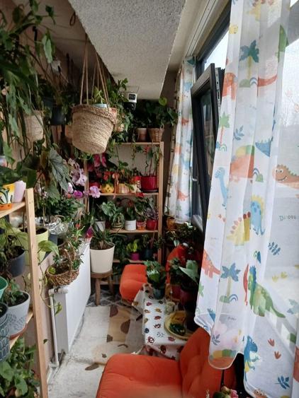 De vanzare apartament decomandat confort 1 Bucuresti - 6