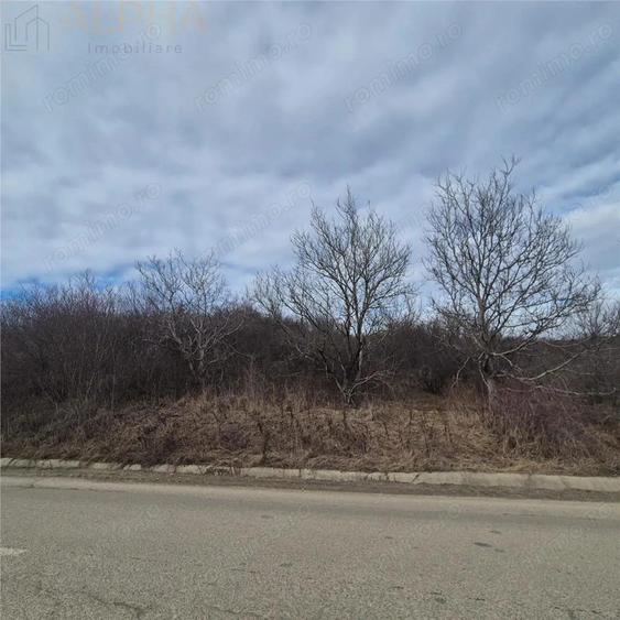 Teren intravilan de vanzare Sigmir, Str. Soarelui - 3