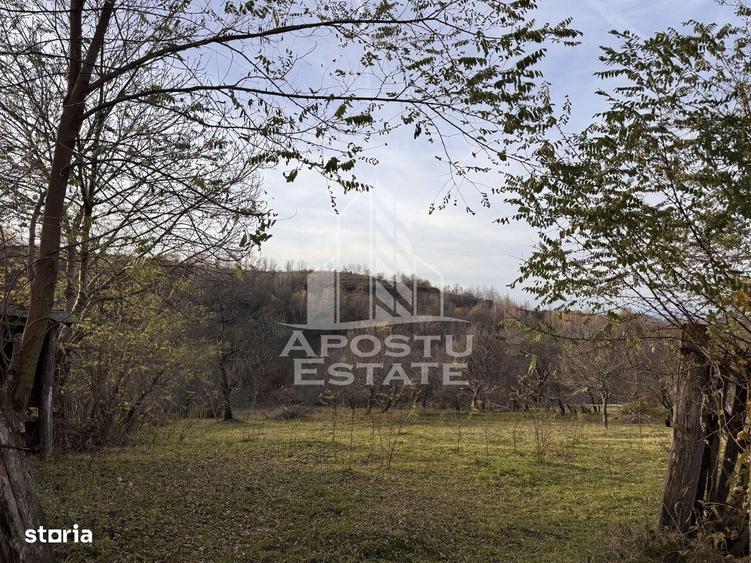 Casa batraneasca la munte, in Hunedoara, Tinutul Padurenilor, Cerbal - 10