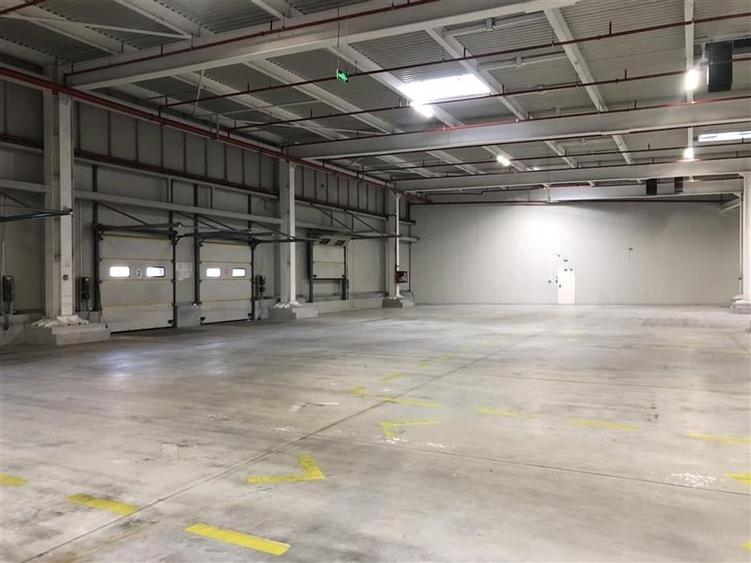 Inchiriere depozit/hala/spatiu industrial Chiajna - A1 - Centura - 8
