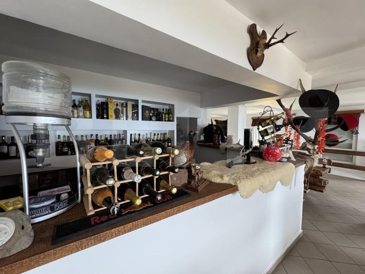 Proprietate turistica in Varful Roman – Horezu, vedere panoramica - 9