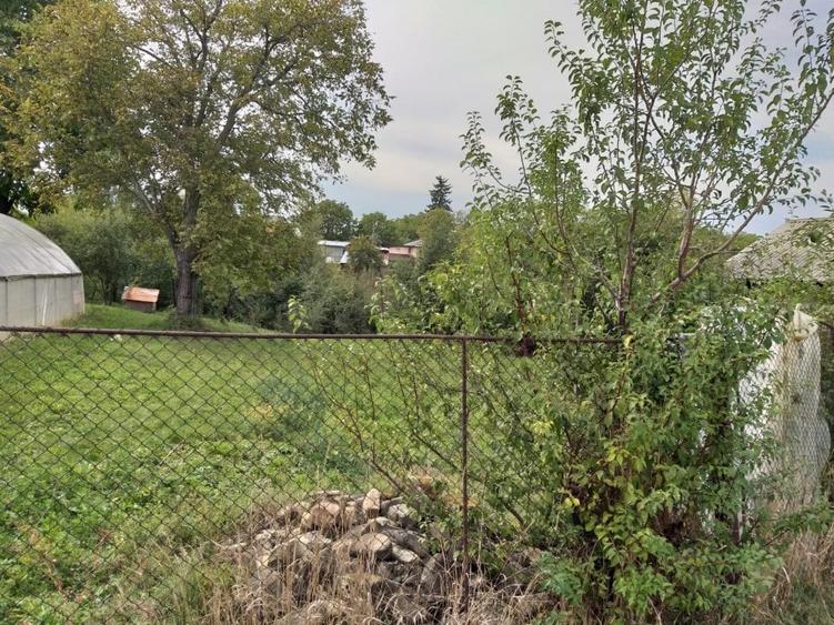 Teren de vanzare - Baicoi(Central) (intre case,gaze,curent,canalizare) - 2