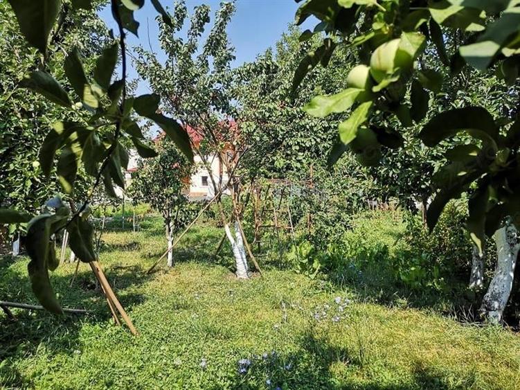 Vila+hala+teren, Bartolomeu, Brasov - 1