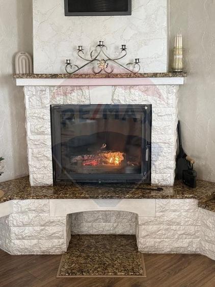 CASA DE VIS DE VANZARE IN COLTIREA - 9