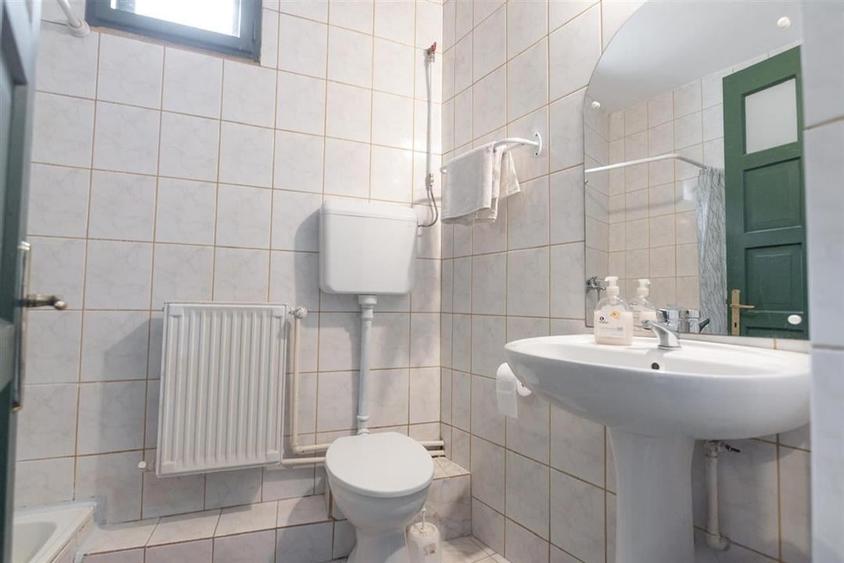 RECO Pensiunea Gobe + 2 Case individuale- Afacere cu traditie si renume in Orade - 49