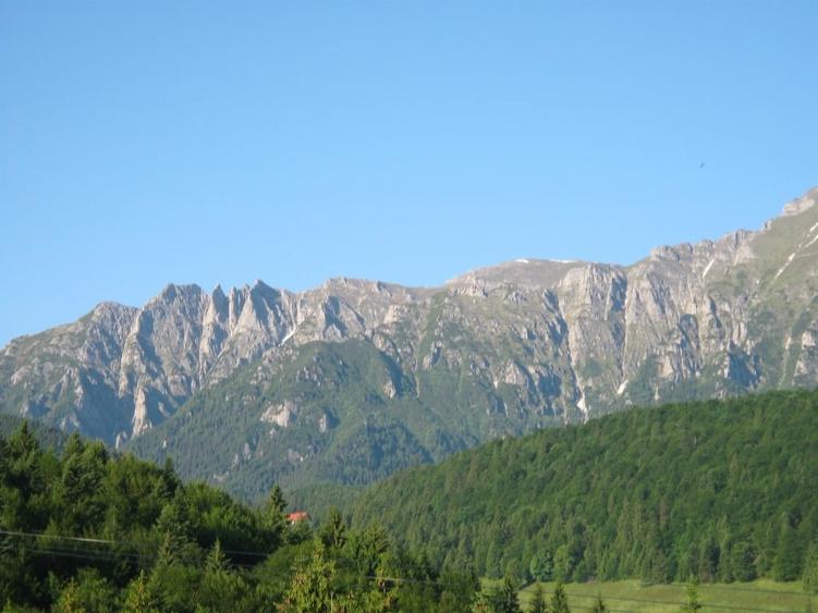 10650 pe munte, langa Predeal  cu PUZ, ridicare TOPO, studiu GEO,apa,gaz,curent - 2