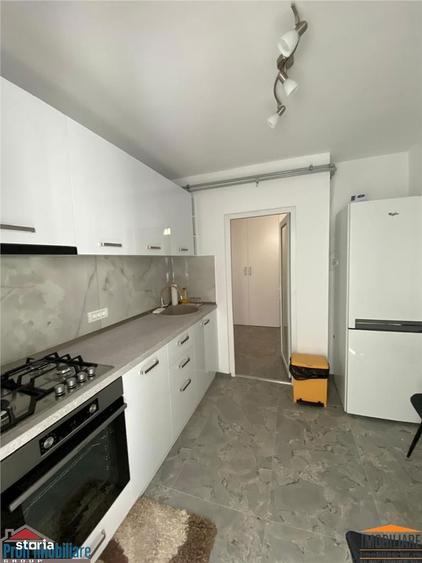 Apartament de inchiriat 2 camere Podgoria-Malul Muresului - 16