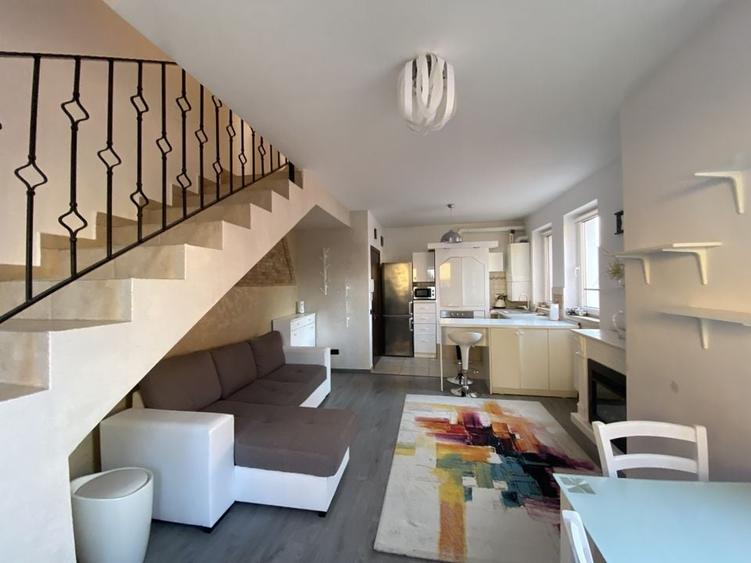 Cochet la intrare in Dumbravita - 21