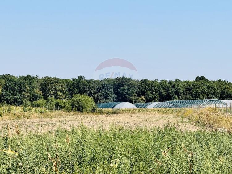 Teren 6,210mp Apateu / Strada Principala - 6