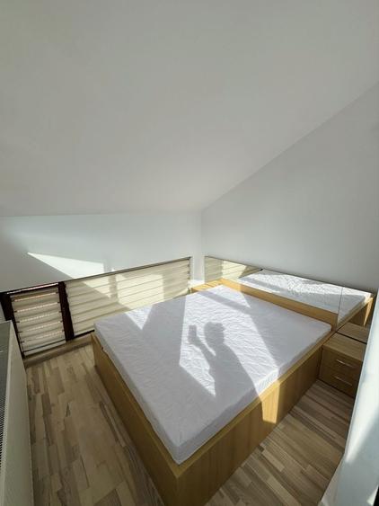 Apartament open-space tip loft , Grigorescu, pet-friendly - 4