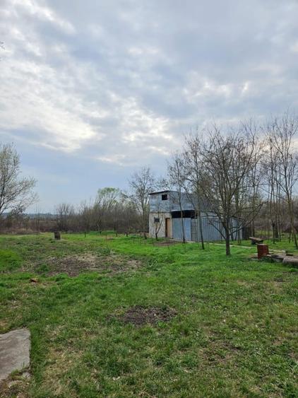 Casa de vacanta Bucsani, Obedeni - 10