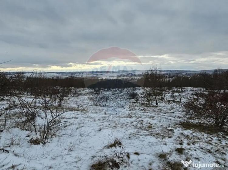 Teren 10,000mp Rada?eni / ?oseaua DN2-E85, jude?ul S... - 8