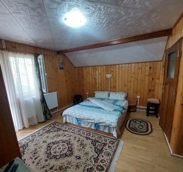 Pensiune turistica (afacere la cheie) Lepsa - 6