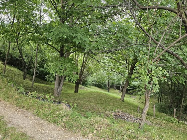 TEREN DE VANZARE SECIURI - 6