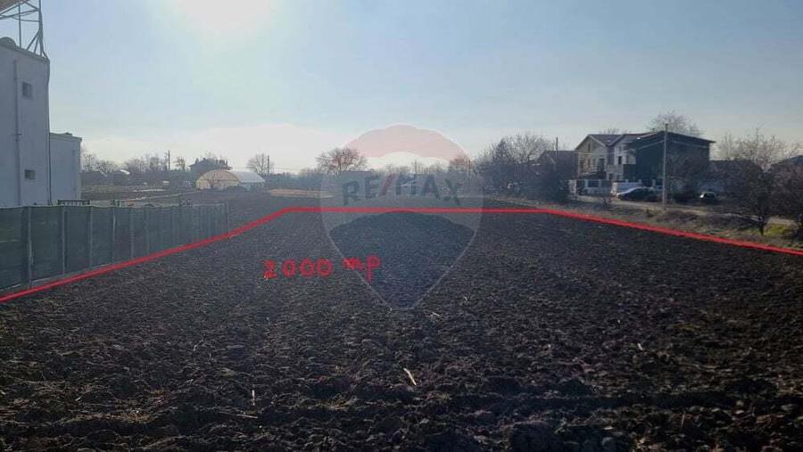 Teren Intravilan generos de 2000mp in Magurele - 3