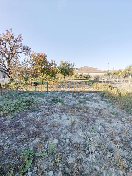 P4695 Casa individuala cu 3 camere in Ghiroda - 11