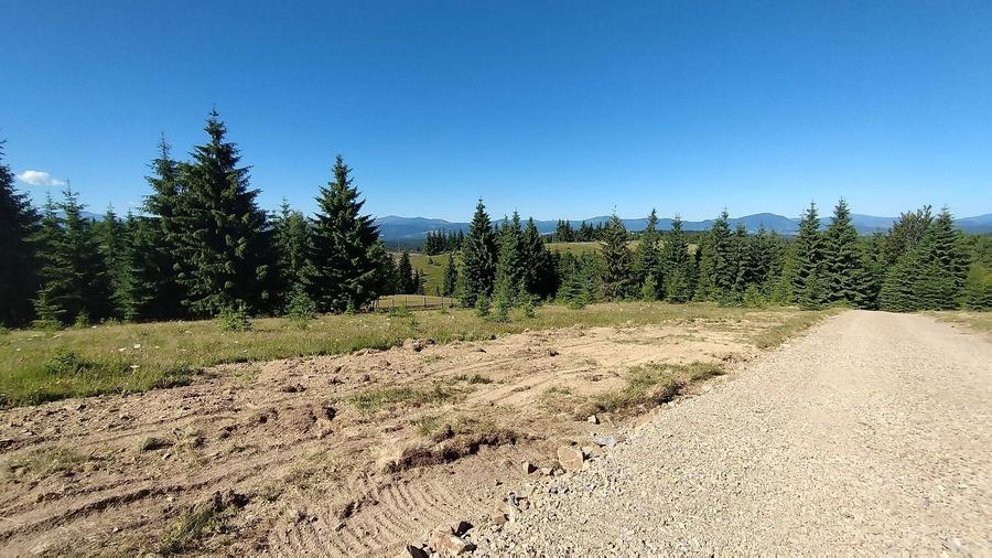 Teren Piatra Fantanele / Pasul Tihuta 1.450 euro/ar - 5