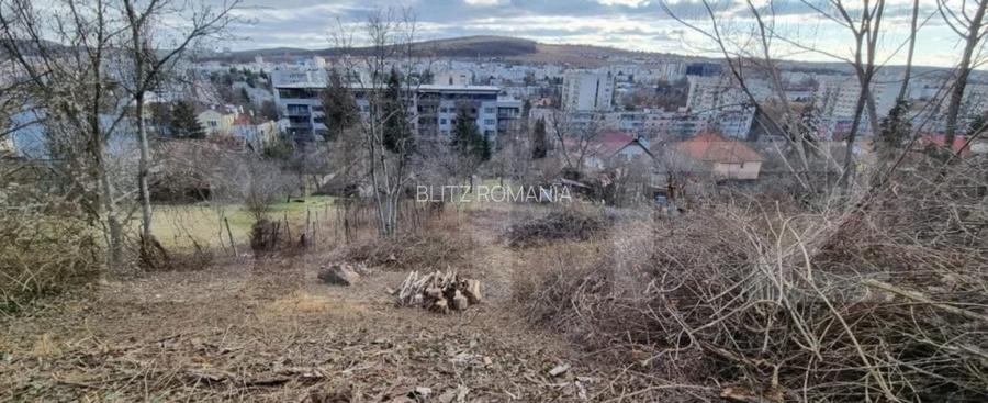Teren intravilan, 3500 mp, zona Platoul Cornesti Teren intravilan, 3500 mp, zona Platoul Cornesti