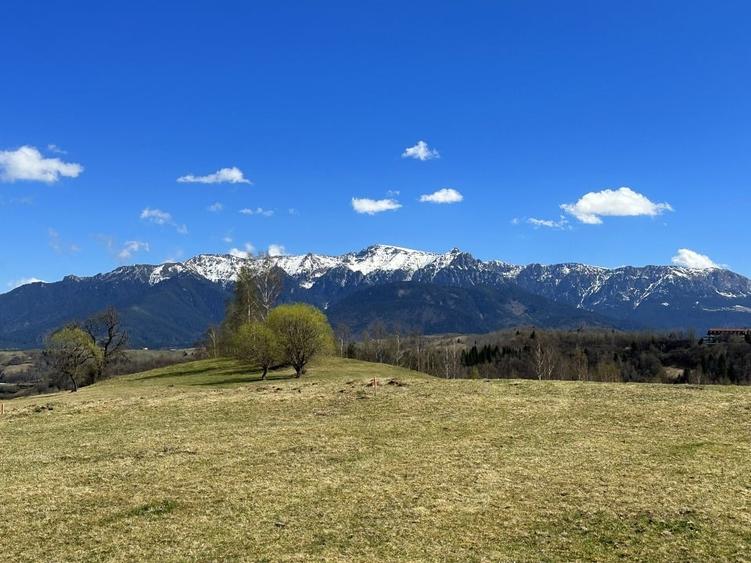 Teren 1550 mp, sat Pestera, zona Bran-Moieciu, jud. Brasov - 4