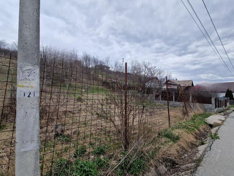 Teren cu toate utilitatile 584 mp, Dezmir zona str Criseni - 8