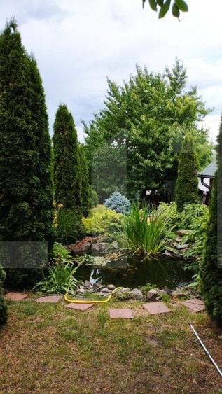 Oportunitate! Casa 300 mp utili, 1000 mp teren, zona Sapte Strazi! - 9