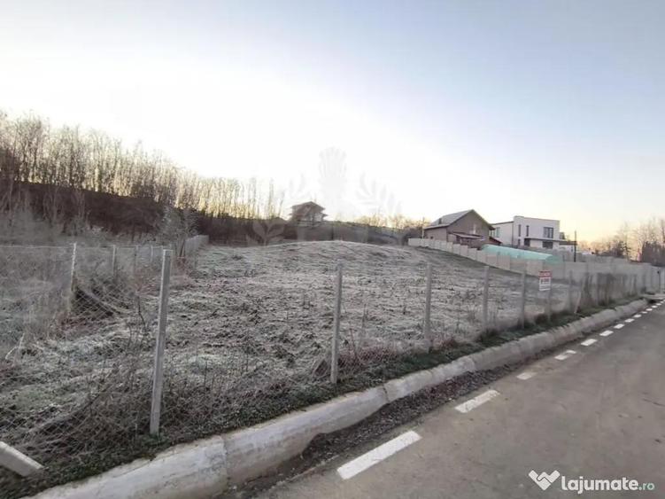 TEREN INTRAVILAN//COM. PLOPU//1300//2700 MP - 6