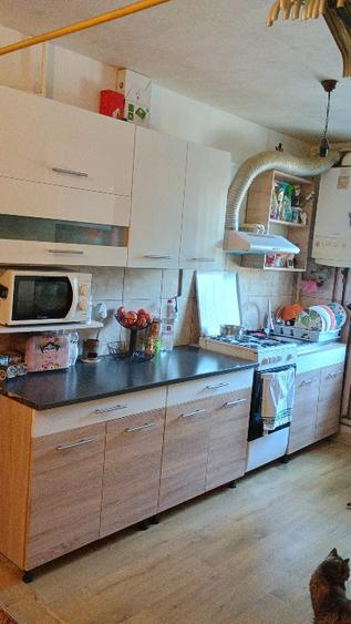 PF vand apartament 3 camere, decomandat, parter, Manastur, Aleea Retezat - 10