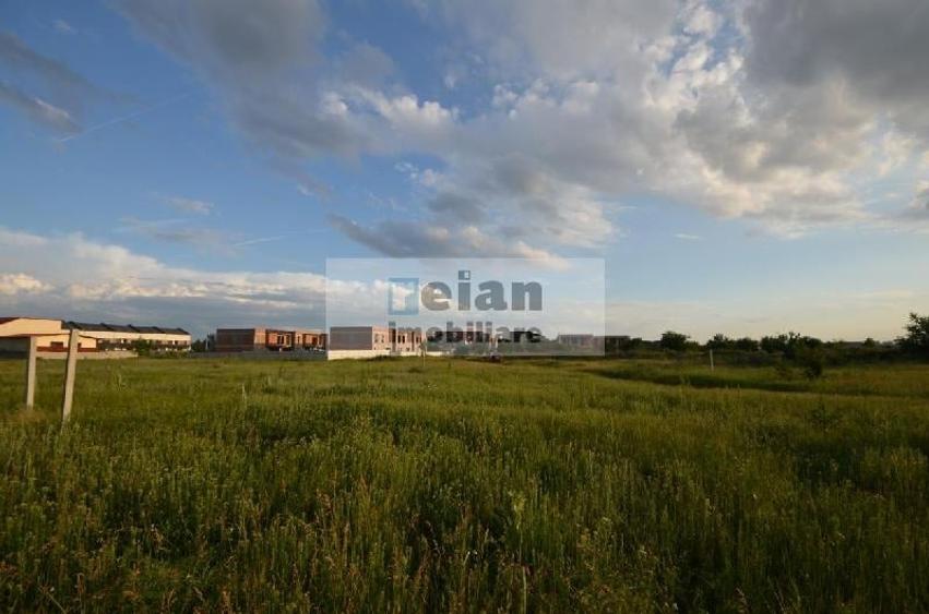 Voluntari - Matei Millo Teren 481 Mp Utili, Deschidere 20 Ml - 5