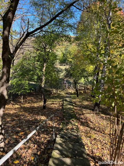 Proprietate Valenii de Munte - 1