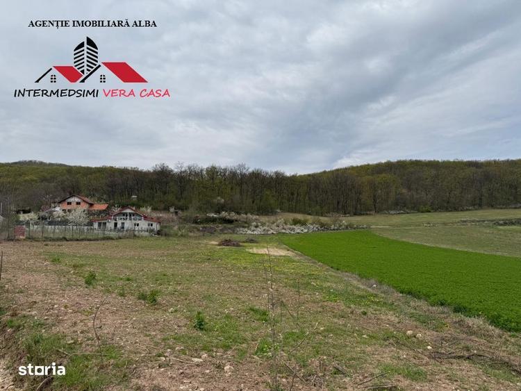 Teren intravilan 833 mp de vanzare in Ampoita Jud Alba - 3