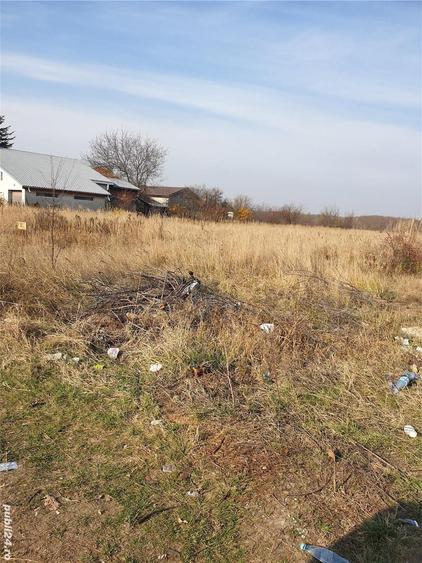 Teren de vanzare  Corbeanca - 3