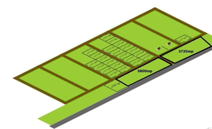 Teren Intravilan Letca Noua DN61 deschidere 235m - 1