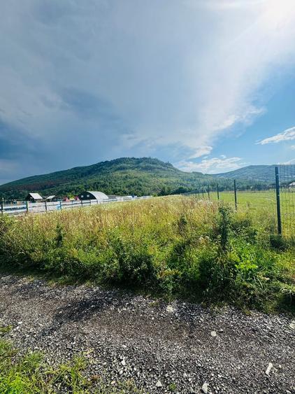 Teren intravilan - 6