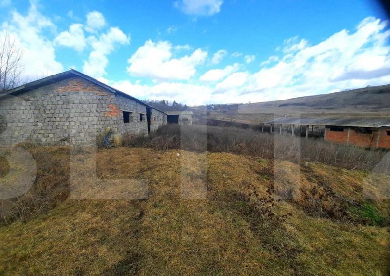 Ferma in intravilanul comunei Cojocna, 5 Ha cu hale - 7