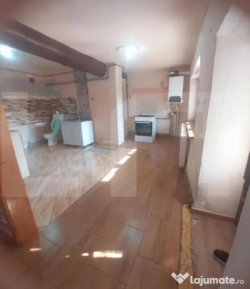 Blitz va ofera spre vanzare casa in Vladimirescu - 7