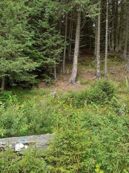 Teren Moroieni-Padina - 3