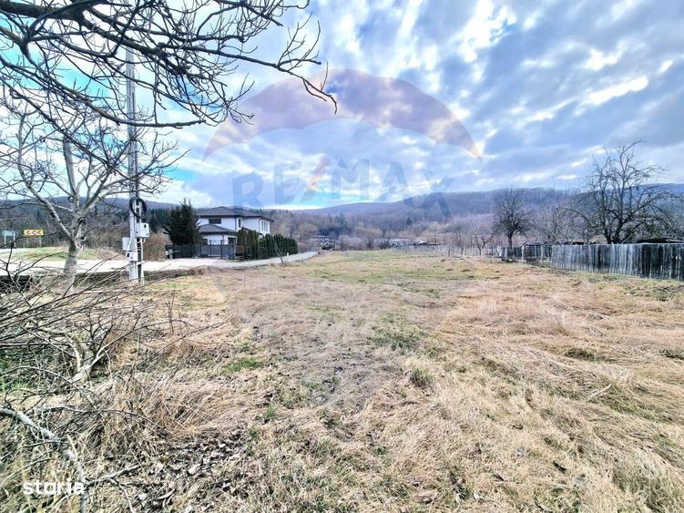 Teren Intravilan generos la intrare in Luncani - 10