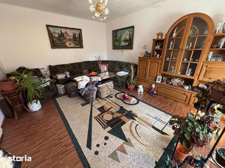 Casa single + 1200mp teren - Sura Mare - 11